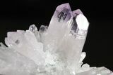 Attractive Amethyst Crystal Cluster - Las Vigas, Mexico #355022-1